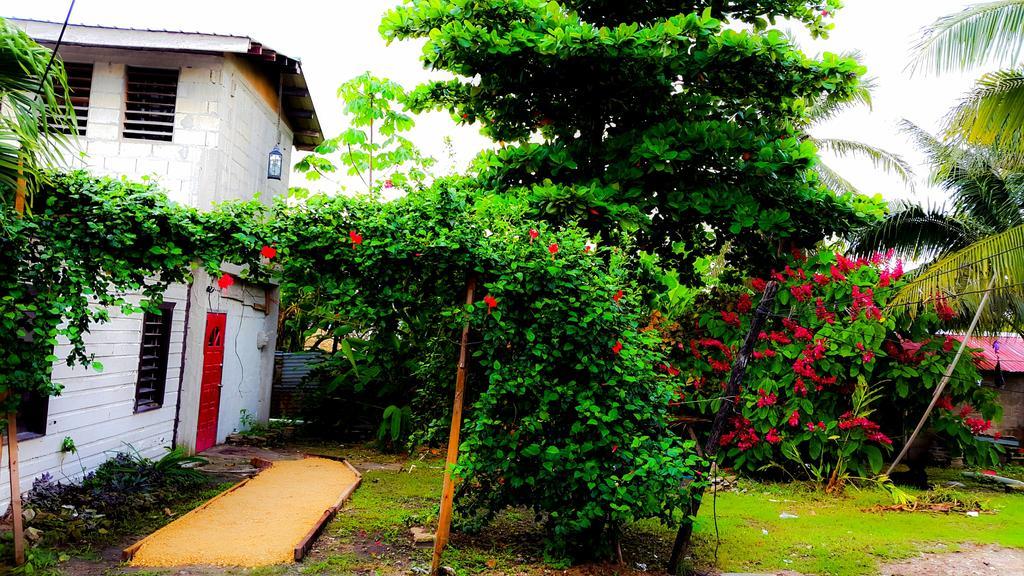 Casa Ricky'S Hostel Orange Walk Town Exterior photo